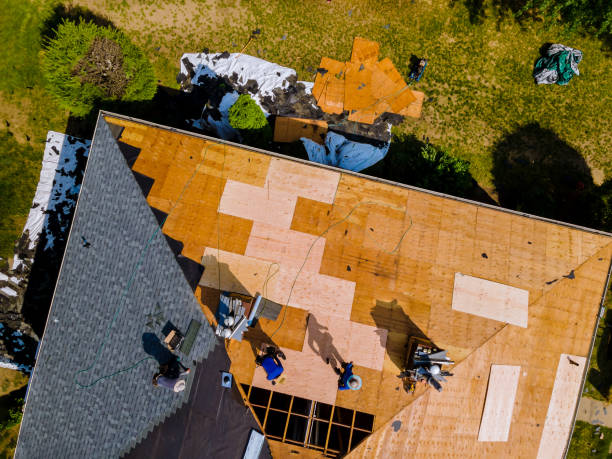 Quick and Trustworthy Emergency Roof Repair Services in Manatee Road, FL